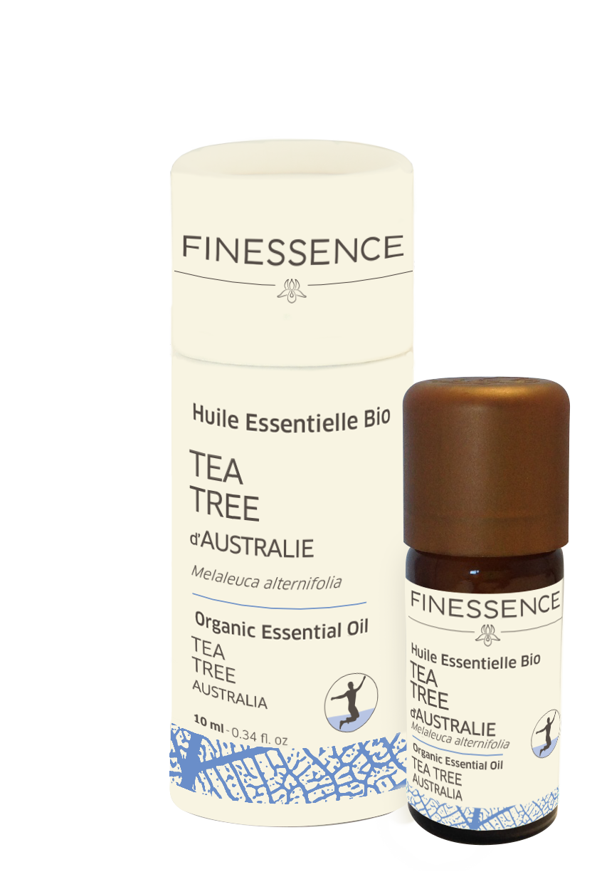 زيت عطري أساسي من شجرة الشاي 10 مل