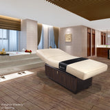 Treatment table - Insignia Waverly  Multi-purpose treatment table with replaceable mattress