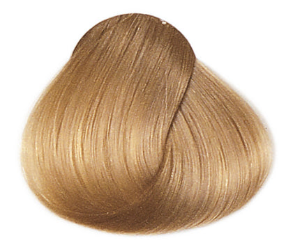 W/8 2001 صبغة فرامكلر