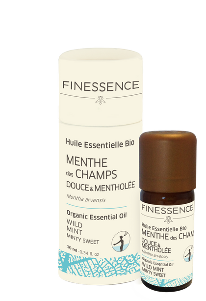 زيت عطري أساسي من النعناع البري 10 مل