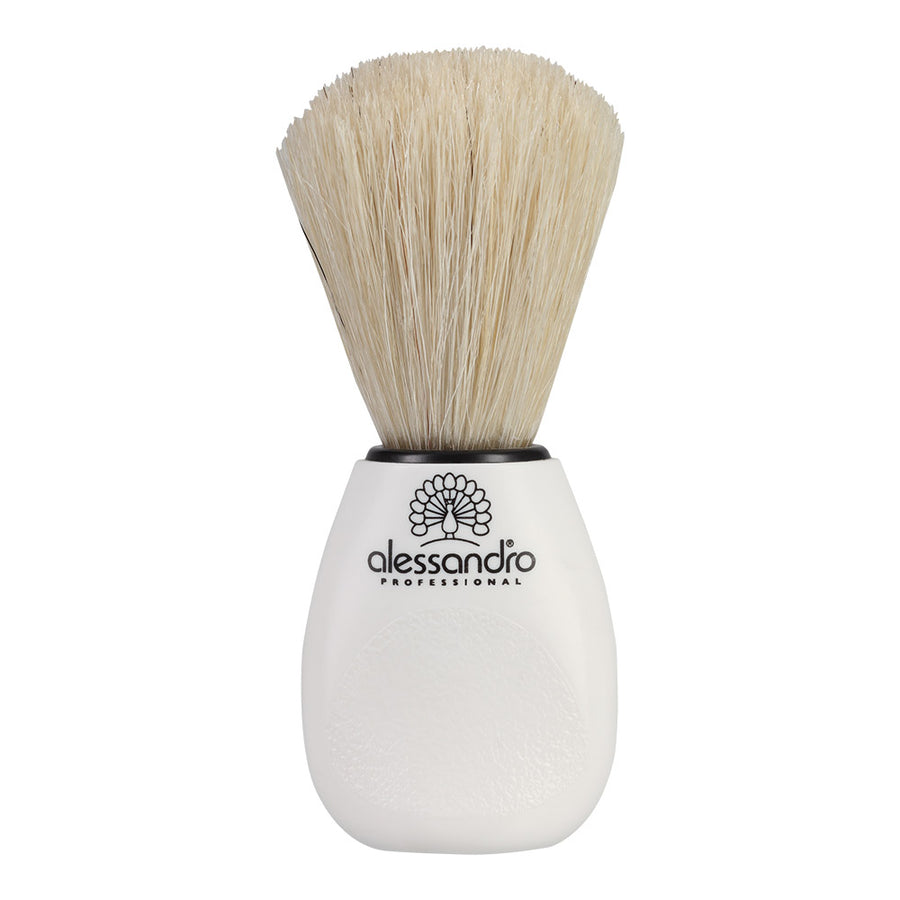 Dust Brush