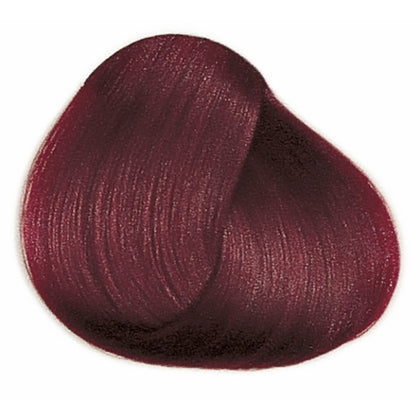 Framcolor 2001  (4Hr